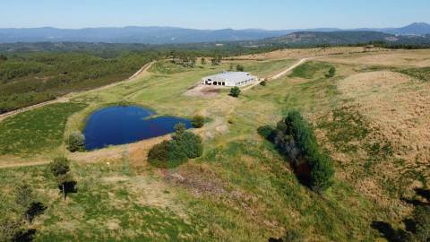 Herdade com 14Ha -Lomba Chã- Sarzedas - 20 min de Castelo Branco