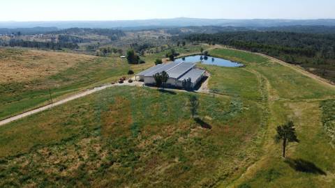 Herdade com 14Ha -Lomba Chã- Sarzedas - 20 min de Castelo Branco