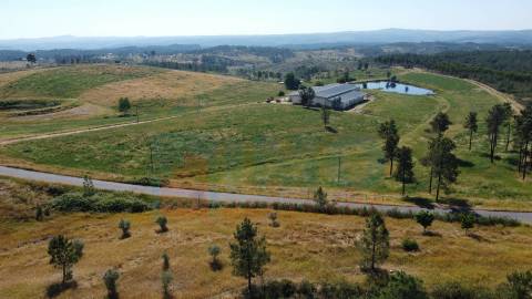 Herdade com 14Ha -Lomba Chã- Sarzedas - 20 min de Castelo Branco