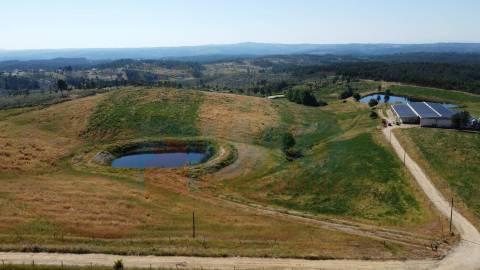 Herdade com 14Ha -Lomba Chã- Sarzedas - 20 min de Castelo Branco