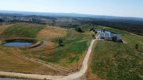 Herdade com 14Ha -Lomba Chã- Sarzedas - 20 min de Castelo Branco