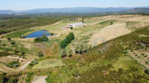 Herdade com 14Ha -Lomba Chã- Sarzedas - 20 min de Castelo Branco
