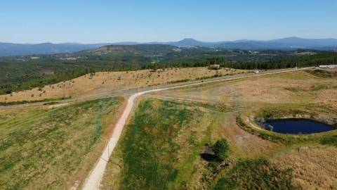 Herdade com 14Ha -Lomba Chã- Sarzedas - 20 min de Castelo Branco