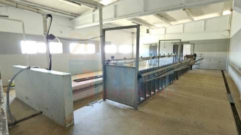 Herdade com 14Ha -Lomba Chã- Sarzedas - 20 min de Castelo Branco