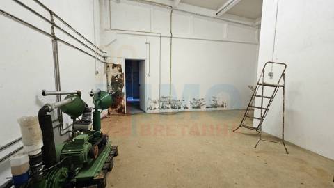 Herdade com 14Ha -Lomba Chã- Sarzedas - 20 min de Castelo Branco