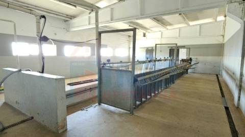 Herdade com 14Ha -Lomba Chã- Sarzedas - 20 min de Castelo Branco