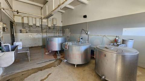 Herdade com 14Ha -Lomba Chã- Sarzedas - 20 min de Castelo Branco