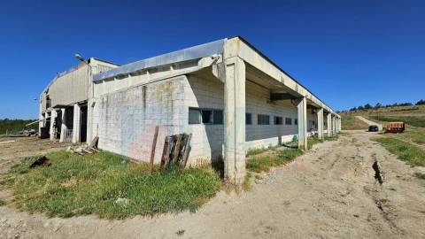 Herdade com 14Ha -Lomba Chã- Sarzedas - 20 min de Castelo Branco