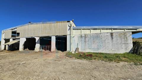 Herdade com 14Ha -Lomba Chã- Sarzedas - 20 min de Castelo Branco