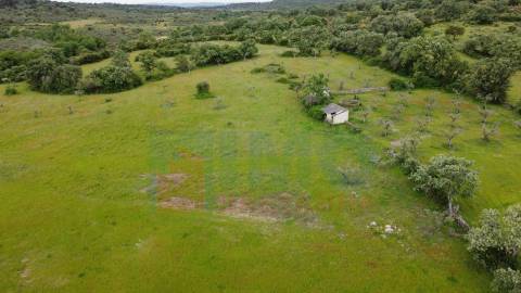 Quinta em Oledo - 10 min de Idanha e 30 de Castelo Branco