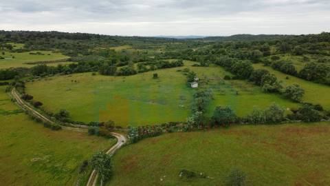 Quinta em Oledo - 10 min de Idanha e 30 de Castelo Branco