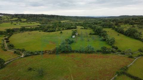 Quinta em Oledo - 10 min de Idanha e 30 de Castelo Branco