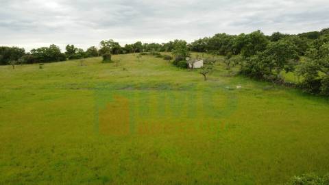 Quinta em Oledo - 10 min de Idanha e 30 de Castelo Branco