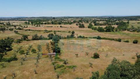 Quinta em Oledo - 10 min de Idanha e 30 de Castelo Branco