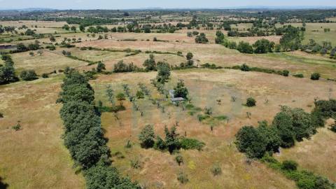 Quinta em Oledo - 10 min de Idanha e 30 de Castelo Branco