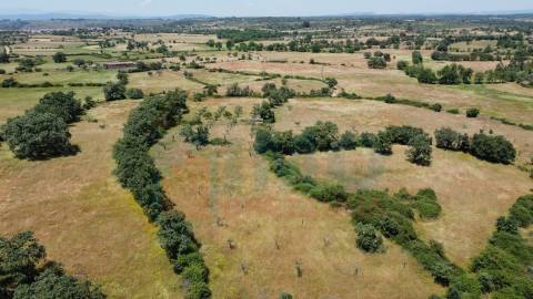 Quinta em Oledo - 10 min de Idanha e 30 de Castelo Branco