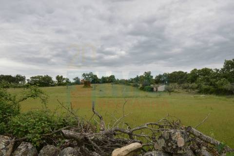 Quinta em Oledo - 10 min de Idanha e 30 de Castelo Branco