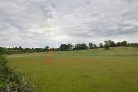 Quinta em Oledo - 10 min de Idanha e 30 de Castelo Branco