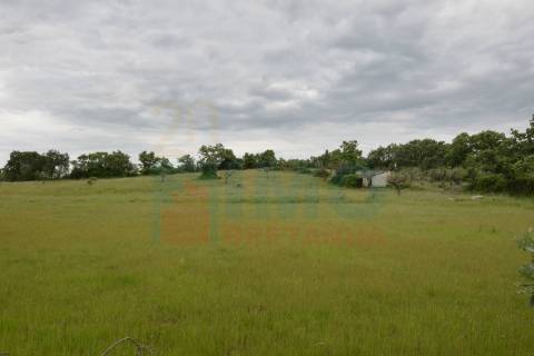 Quinta em Oledo - 10 min de Idanha e 30 de Castelo Branco