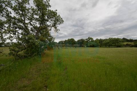 Quinta em Oledo - 10 min de Idanha e 30 de Castelo Branco