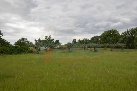 Quinta em Oledo - 10 min de Idanha e 30 de Castelo Branco