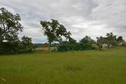 Quinta em Oledo - 10 min de Idanha e 30 de Castelo Branco