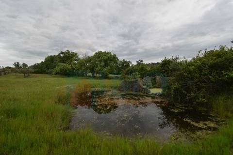 Quinta em Oledo - 10 min de Idanha e 30 de Castelo Branco
