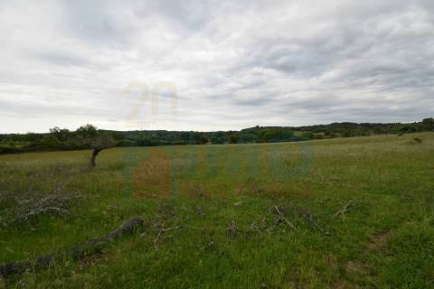 Quinta em Oledo - 10 min de Idanha e 30 de Castelo Branco