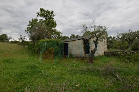 Quinta em Oledo - 10 min de Idanha e 30 de Castelo Branco