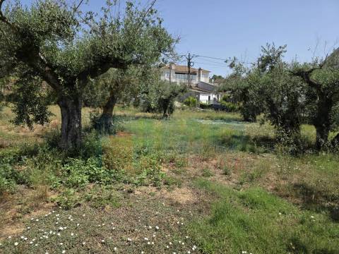 Terreno c/ Viabilidade de Construção – Telhado - Fundão