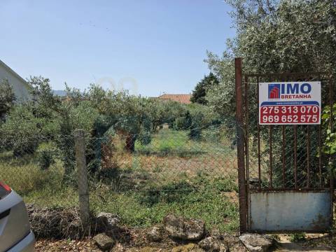 Terreno c/ Viabilidade de Construção – Telhado - Fundão