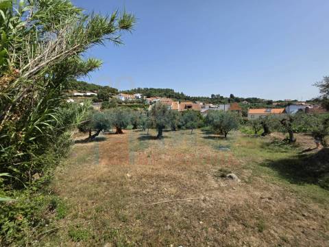 Terreno c/ Viabilidade de Construção – Telhado - Fundão