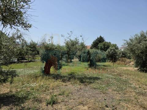Terreno c/ Viabilidade de Construção – Telhado - Fundão