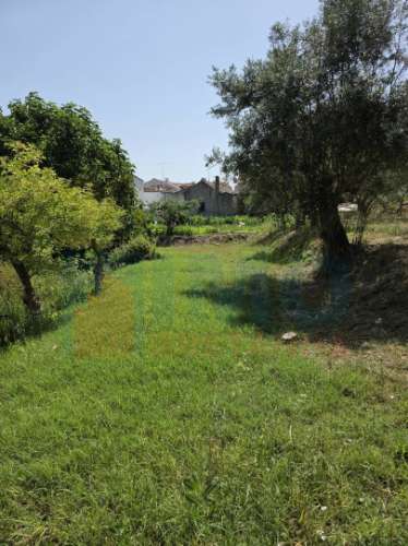 Terreno c/ Viabilidade de Construção – Telhado - Fundão