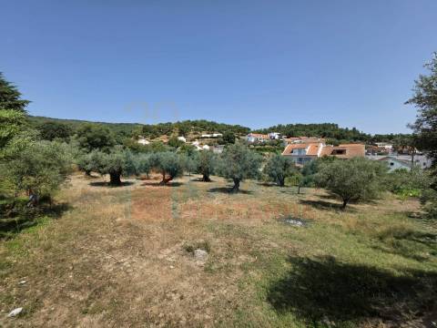 Terreno c/ Viabilidade de Construção – Telhado - Fundão