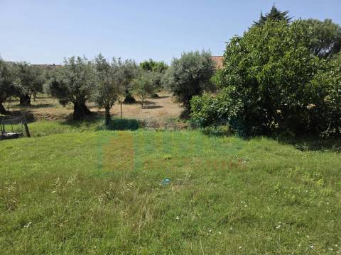 Terreno c/ Viabilidade de Construção – Telhado - Fundão