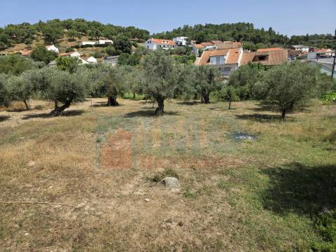 Terreno c/ Viabilidade de Construção – Telhado - Fundão