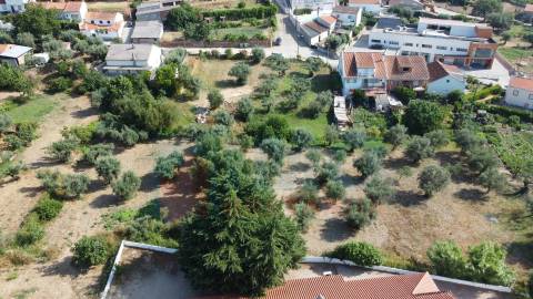 Terreno c/ Viabilidade de Construção – Telhado - Fundão