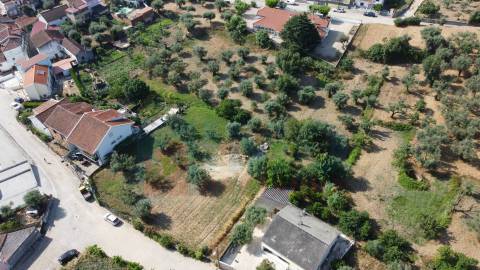 Terreno c/ Viabilidade de Construção – Telhado - Fundão
