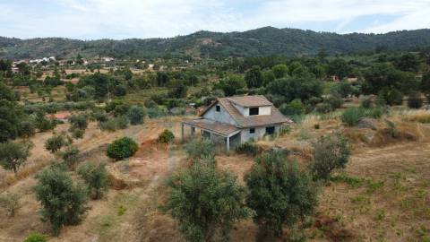Terreno c/ Moradia p/ Terminar - Pero Viseu