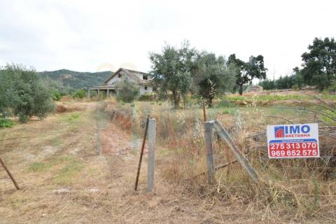 Terreno c/ Moradia p/ Terminar - Pero Viseu