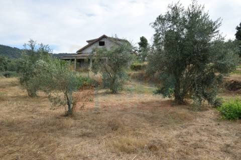 Terreno c/ Moradia p/ Terminar - Pero Viseu