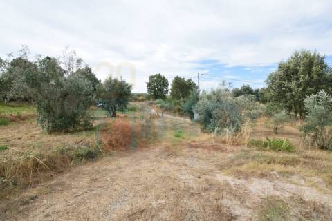 Terreno c/ Moradia p/ Terminar - Pero Viseu