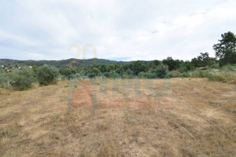 Terreno c/ Moradia p/ Terminar - Pero Viseu