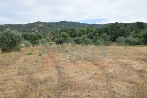 Terreno c/ Moradia p/ Terminar - Pero Viseu