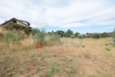 Terreno c/ Moradia p/ Terminar - Pero Viseu