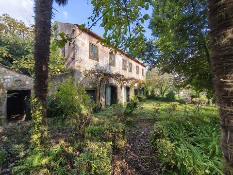 Edifício senhorial - Centro de Anadia