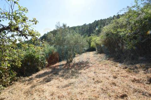 Moradia p/ Recuperar - Atalaia do Teixoso - 10 min Covilhã