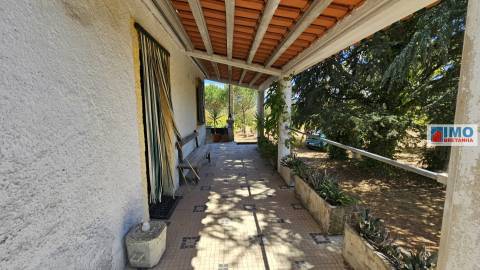 Quinta em Alvarcões  - Castelo Branco