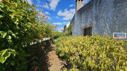 Quinta em Alvarcões  - Castelo Branco